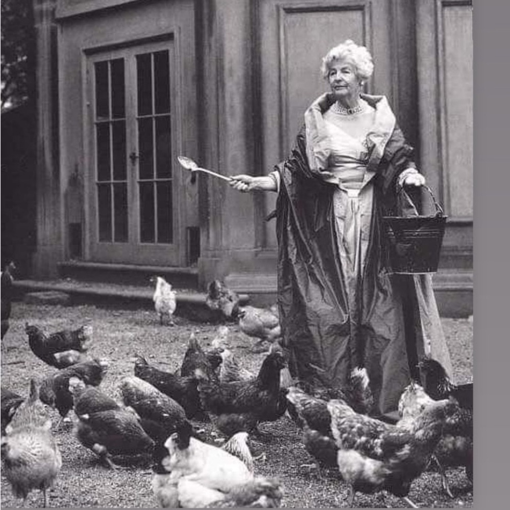 Meet your Posher, Lizzy